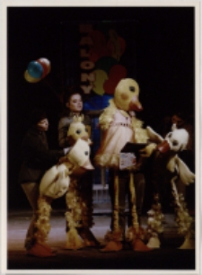 Porwanie kaczątek (fot. 7) [Dokument ikonograficzny]