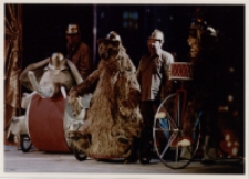 Porwanie kaczątek (fot. 8) [Dokument ikonograficzny]