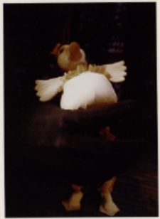 Porwanie kaczątek (fot. 13) [Dokument ikonograficzny]