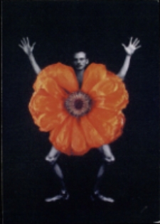 Wystawa z kolekcji Dolnośląskiego Towarzystwa Zachęty Sztuk Pięknych - zaproszenie [Dokument życia społecznego]