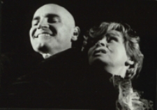 Pelikan (fot. 3) [Dokument ikonograficzny]