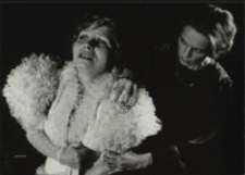 Pelikan (fot. 4) [Dokument ikonograficzny]