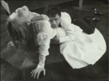 Pelikan (fot. 6) [Dokument ikonograficzny]