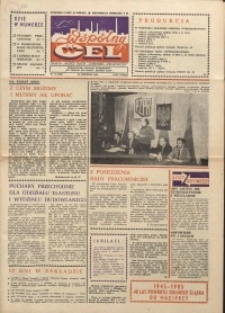 Wspólny cel : gazeta załogi ZWCH "Chemitex-Celwiskoza", 1985, nr 23 (960)