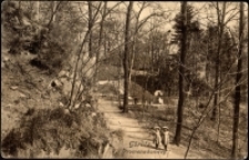 Görlitz. Promenadenweg [Dokument ikonograficzny]