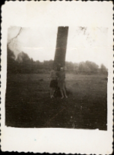 Zdjęcie pod dębem na łące-pastwisku (obecnie targowisko Mój Rynek) w Obornikach Śląskich, widok z ul. Zielonej, 1963 r. [Dokument ikonograficzny]