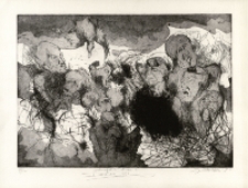 Dzika gęś [Dokument ikonograficzny]