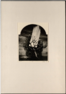 Przeczucia [Dokument ikonograficzny]