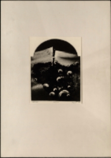 Przeciek [Dokument ikonograficzny]