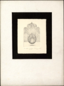 [Brama] [Dokument ikonograficzny]