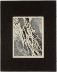 Wizje [Dokument ikonograficzny]