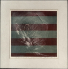 Ciotka Kunda [Dokument ikonograficzny]