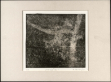 Na plecki [Dokument ikonograficzny]