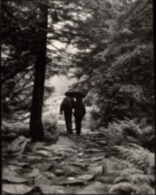 Pod parasolem [Dokument ikonograficzny]