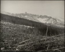 Spustoszenie [Dokument ikonograficzny]