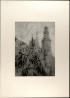 Ratusz w odbiciu [Dokument ikonograficzny]