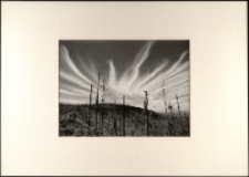 Bez tytułu [Dokument ikonograficzny]