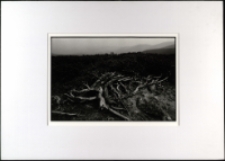 Karkonosze [Dokument ikonograficzny]