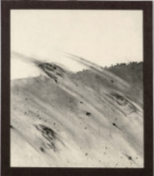 Tachykardia I [Dokument ikonograficzny]