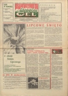 Wspólny cel : gazeta załogi ZWCH "Chemitex-Celwiskoza", 1986, nr 20 (993)
