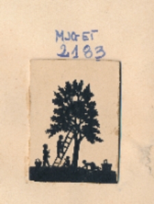 [Zbiór owoców] [Dokument ikonograficzny]