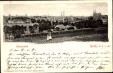 Görlitz Totalansicht [Dokument ikonograficzny]