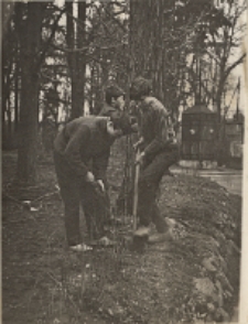 Porządkowanie terenu wok&oacute;ł domu kultury, 24.03.1971 r. (fot. 2) [Dokument ikonograficzny]