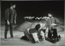 Sen nocy letniej (fot. 12) [Dokument ikonograficzny]