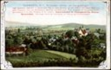 Schwerta, O.-L., Kr. Lauban, Schles., am Isergebirge [Dokument ikonograficzny]