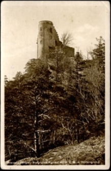 Riesengebirge. Burgruine Kynast 657 m ü. M. v. Höllengrund [Dokument ikonograficzny]