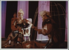 Przygody Rozb&oacute;jnika Rumcajsa : musical Katarzyny G&auml;rtner (fot. 9) [Dokument ikonograficzny]