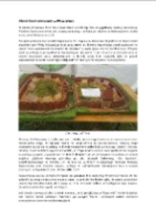 Piknik Średniowieczny w Płoszczynie [Dokument elektroniczny]