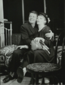 Przeźroczysty pokój (fot. 6) [Dokument ikonograficzny]