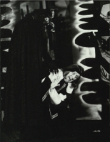 Piękna i bestia (fot. 1) [Dokument ikonograficzny]