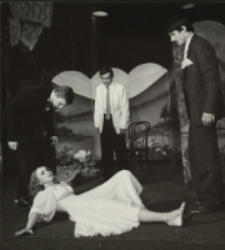 Opowieści Lasku Wiedeńskiego (fot. 10) [Dokument ikonograficzny]