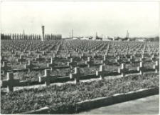 Zgorzelec - Cmentarz Żołnierzy II Armii Wojska Polskiego [Dokument ikonograficzny]