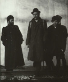 Pieszo (fot. 4) [Dokument ikonograficzny]