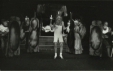 Kr&oacute;l malowany (fot. 8) [Dokument ikonograficzny]