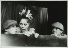 Król malowany (fot. 13) [Dokument ikonograficzny]