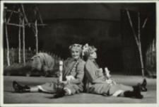 Uciechy staropolskie (fot. 6) [Dokument ikonograficzny]