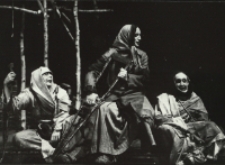 Uciechy staropolskie (fot. 29) [Dokument ikonograficzny]