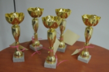 Noc bibliotek 2017 (fot. 1) [Dokument życia społecznego]