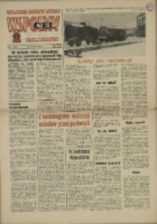 Wspólny cel : Gazeta samorządu robotniczego "Celwiskozy" odznaczona honorową złota odznaką zw. zaw. chemików , 1969, nr 4 (380)
