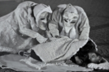 Mr Pejo`s Wandering Dolls. The Moonsters (fot. 22) [Dokument ikonograficzny]