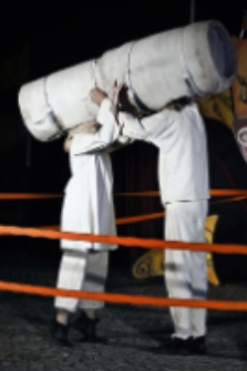 Mr Pejo`s Wandering Dolls. Bestiary (fot. 32) [Dokument ikonograficzny]