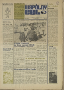 Wspólny cel : gazeta samorządu robotniczego "Celwiskozy", 1976, nr 17 (644)