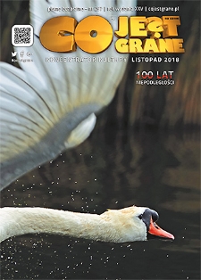 Co Jest Grane : koncentrator kultury, 2018, nr 297 listopad