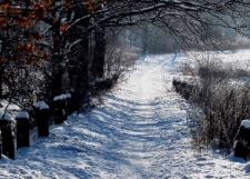 Cieplice (fot. 5) [Dokument ikonograficzny]