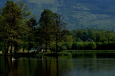 Park w Bukowcu (fot. 1) [Dokument ikonograficzny]