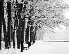 Park Zdrojowy - Cieplice (fot. 5) [Dokument ikonograficzny]